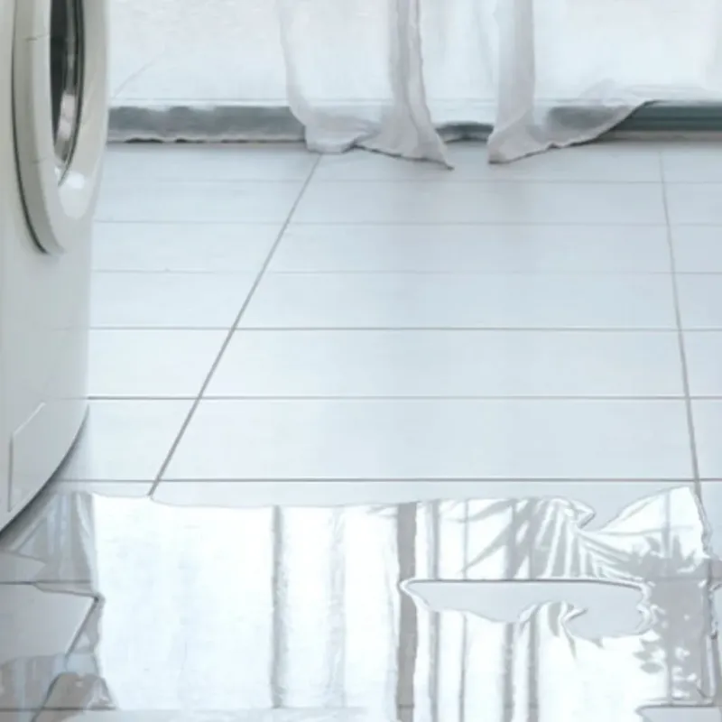 Appliance Leak Cleanup in Steilacoom, WA