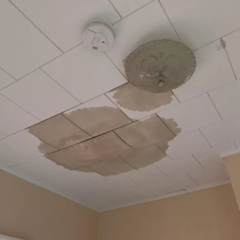 Ceiling Water Damage Repair in Steilacoom, WA