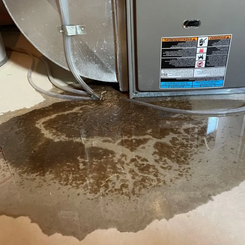 Pipe Burst and Leak Restoration in Steilacoom, WA