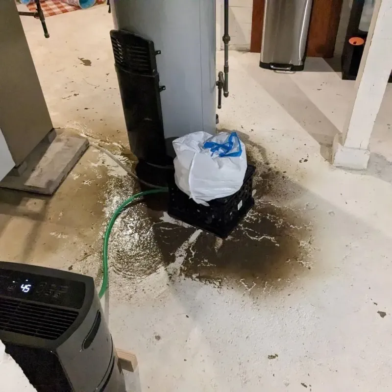 Sewage Backup Cleanup Service in Steilacoom, WA